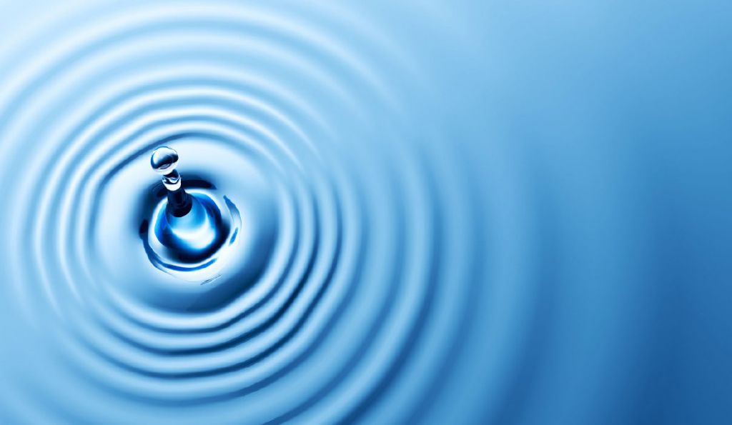 Molasses microbial activity