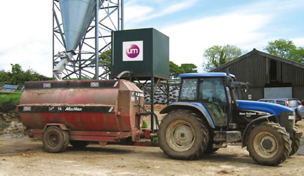 Feeding United Molasses