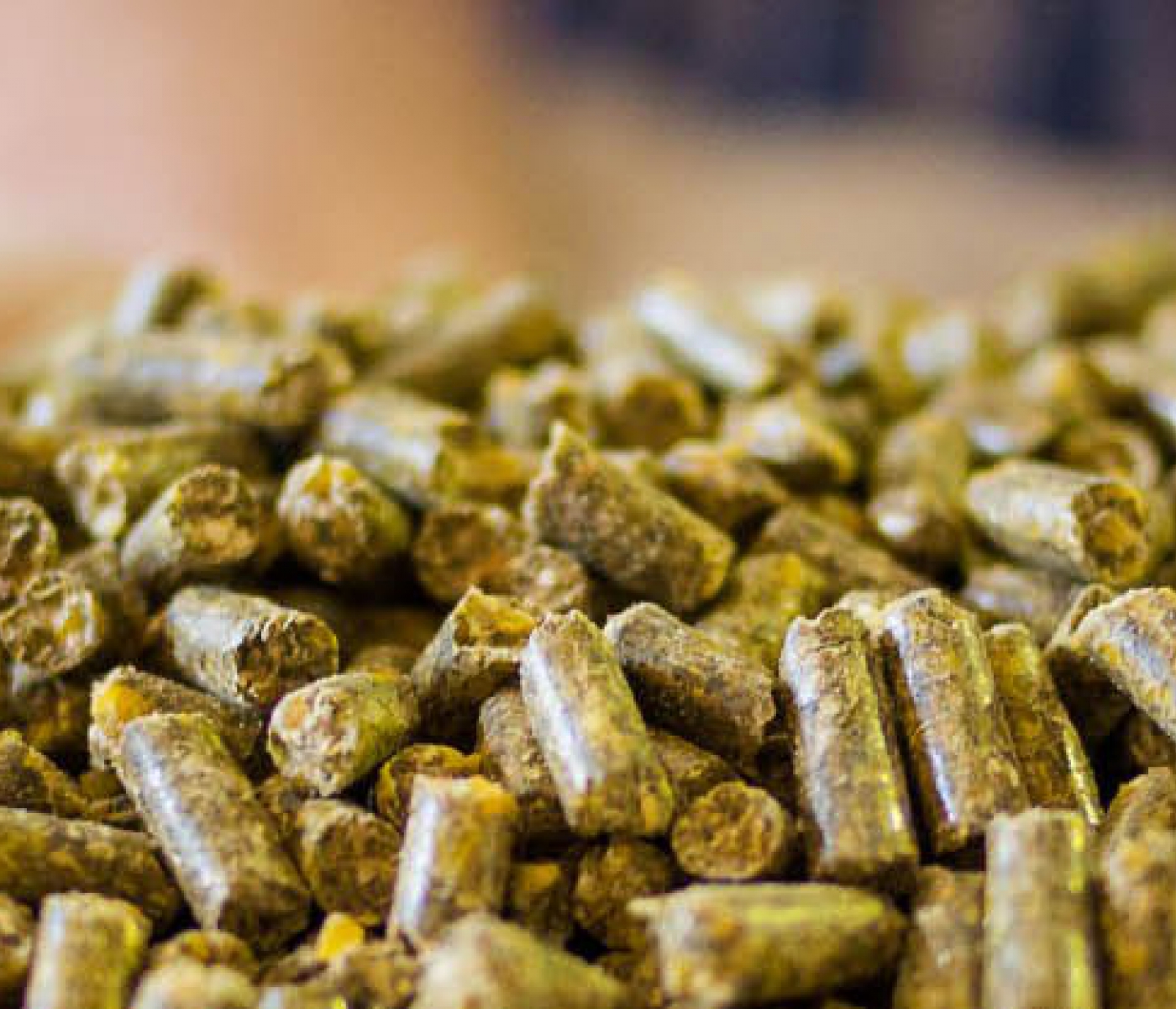 Feed Mill Molasses United Molasses