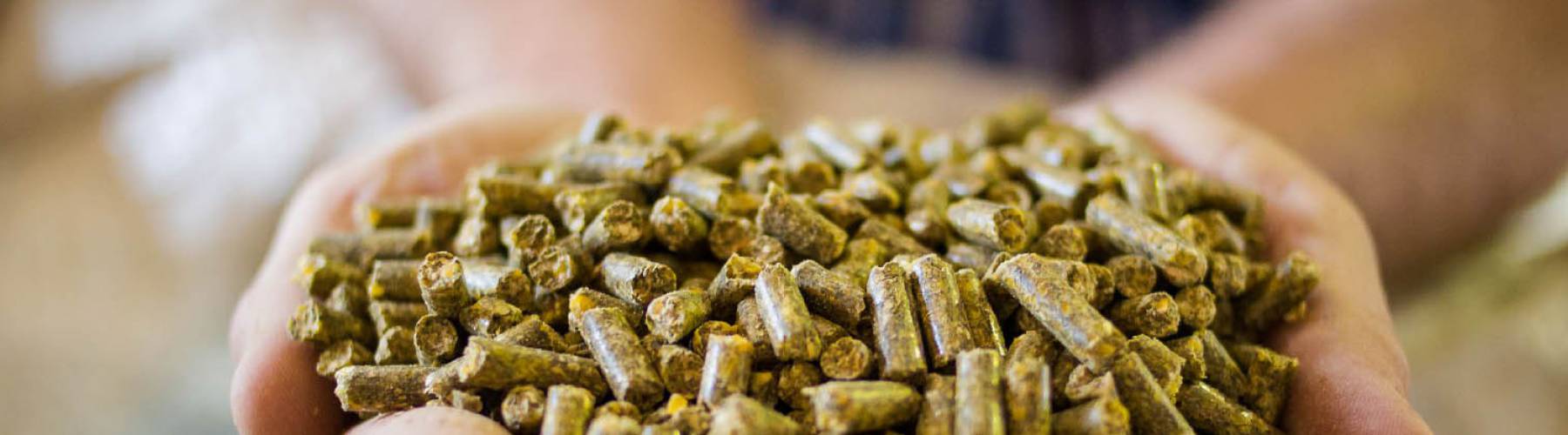 Properties of Molasses United Molasses